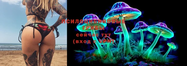 ALPHA-PVP Инсар