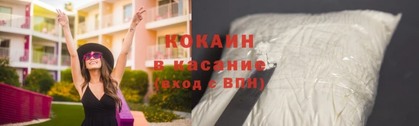 винт Инта