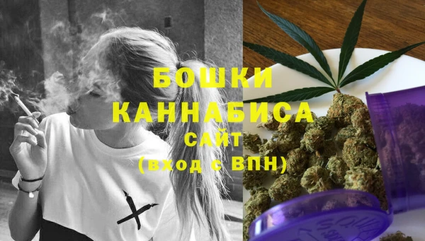 ALPHA-PVP Инсар