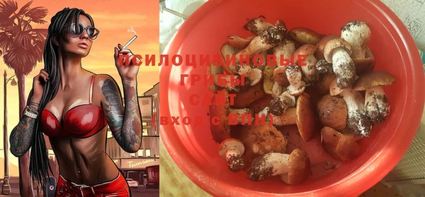 винт Инта