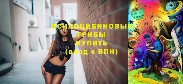 ALPHA-PVP Инсар