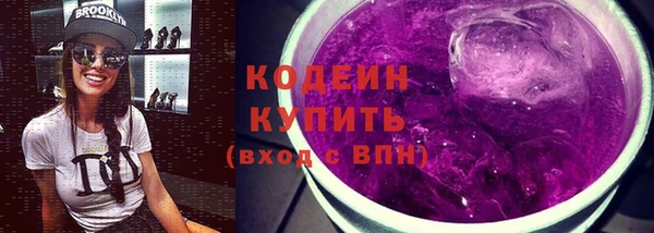 винт Инта