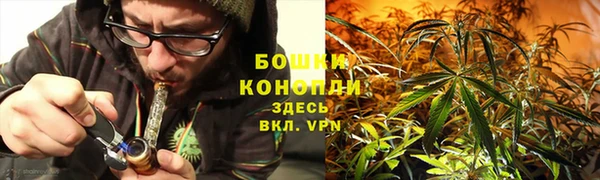 винт Инта