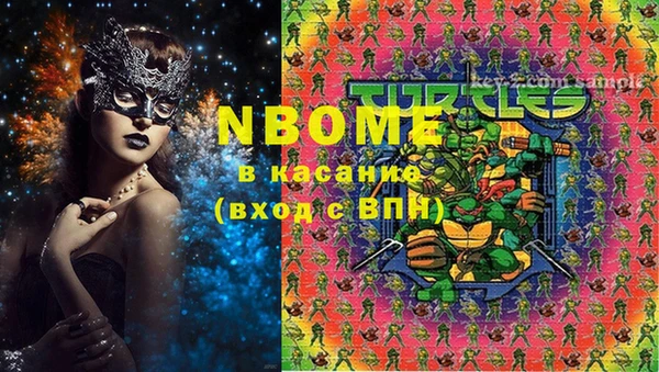 винт Инта