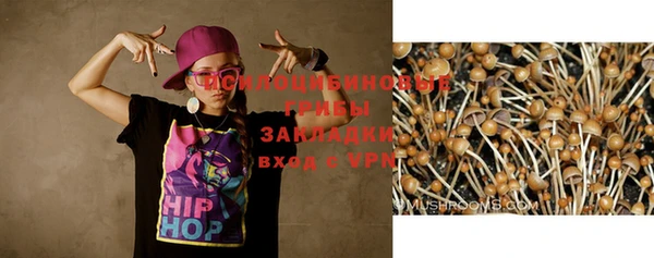 прущие крисы Иннополис