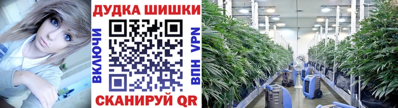 MEGA как войти  shop Telegram  Каннабис VHQ  Курганинск 